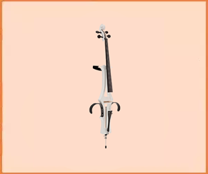 Best Electric Cello For Beginners in 2019