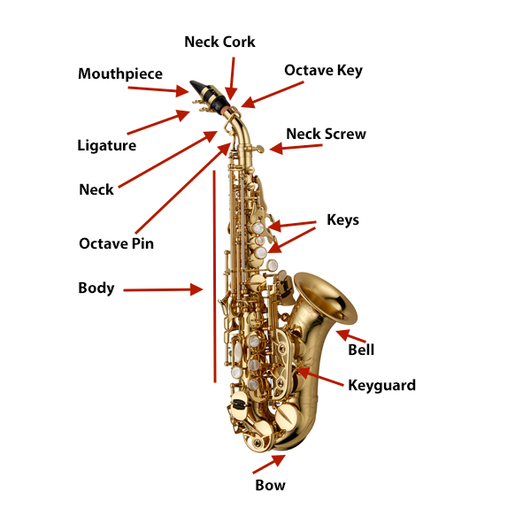 Anatomy of a Curved Soprano Sax