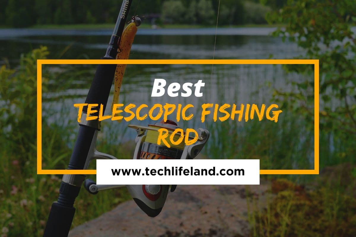 7 Best Telescopic Fishing Rod