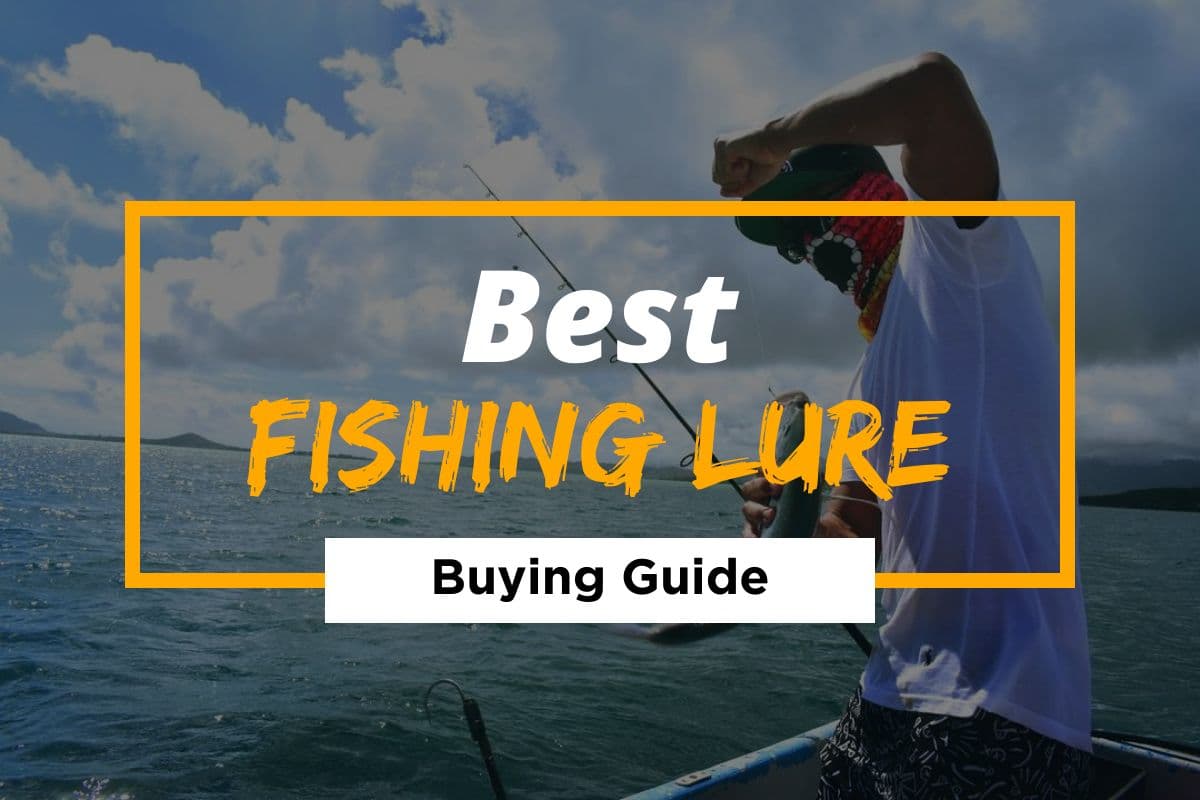 Best Fishing Lures (Reviews & Buying Guide)
